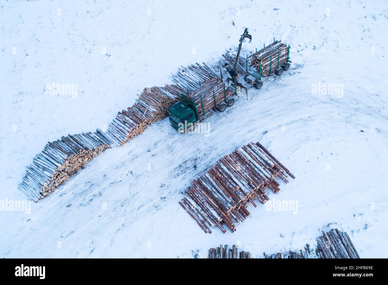 Chargement d'un camion de bois à côté de la pile de bois en Estonie, en Europe du Nord. Banque D'Images