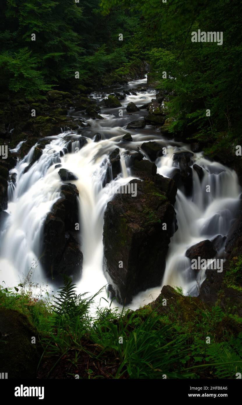 Black Linn Falls à l'Hermitage de Dunkeld. Banque D'Images