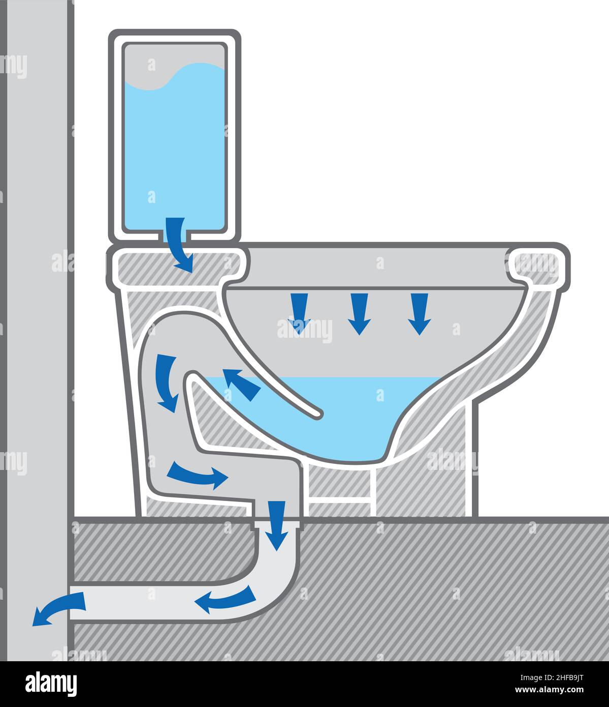 Illustration du vecteur de section transversale de la structure (système) de cuvette de toilette Illustration de Vecteur