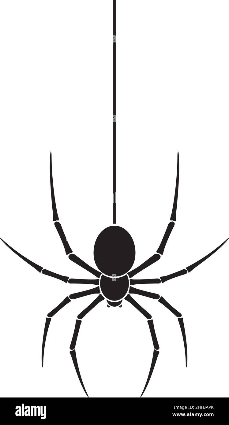 Illustration d'araignée et de vecteur Web Illustration de Vecteur