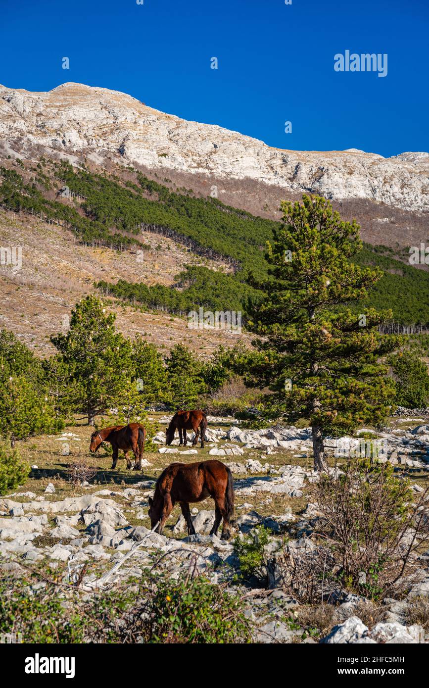 La montagne Velebit Banque D'Images