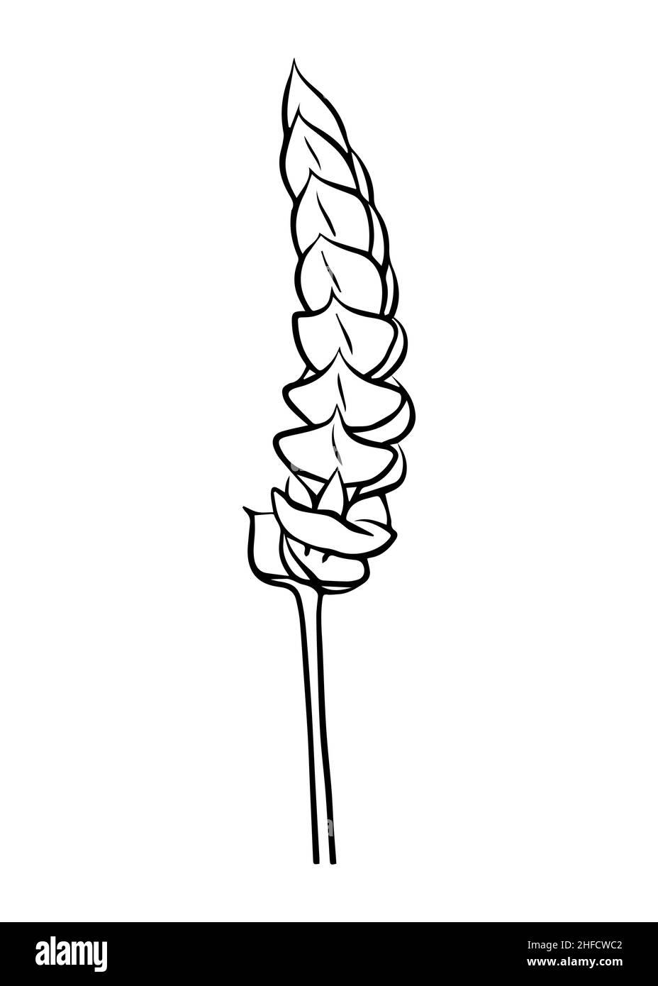 Dessin de contour d'une branche tillandsia Samantha.Clipart vecteur isolé.Conception botanique.Doodle. Illustration de Vecteur Dessin de contour d'une branche tillandsia Samantha.Clipart vecteur isolé.Conception botanique.Doodle. Illustration de Vecteur