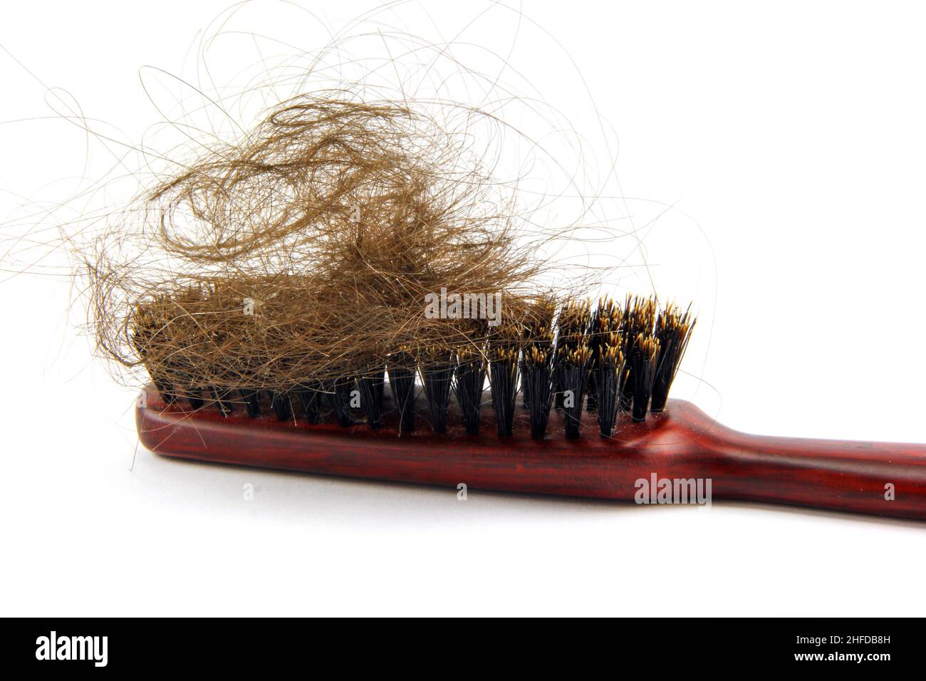 Concept de perte de cheveux, cheveux endommagés sur la brosse.Isolé sur blanc. Banque D'Images