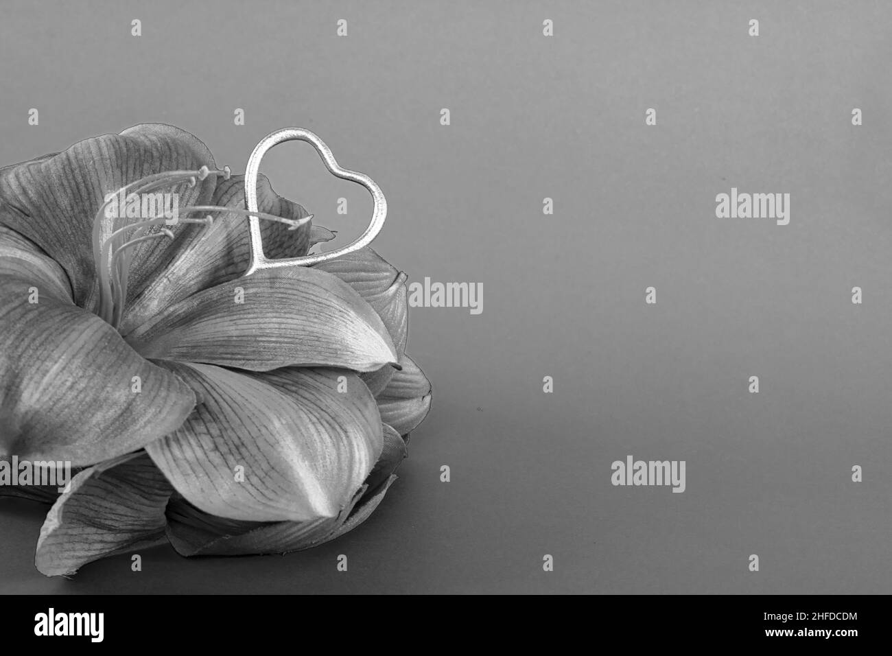 Fleur exotique avec décoration en forme de coeur argenté. Banque D'Images