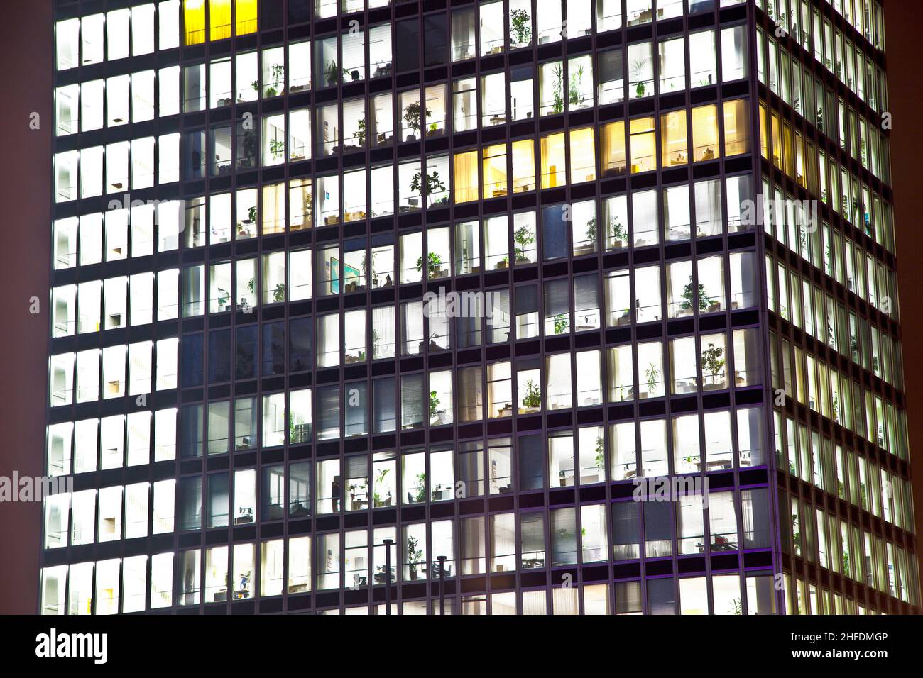 façade de l'immeuble de bureaux de nuit avec fenêtres éclairées Banque D'Images