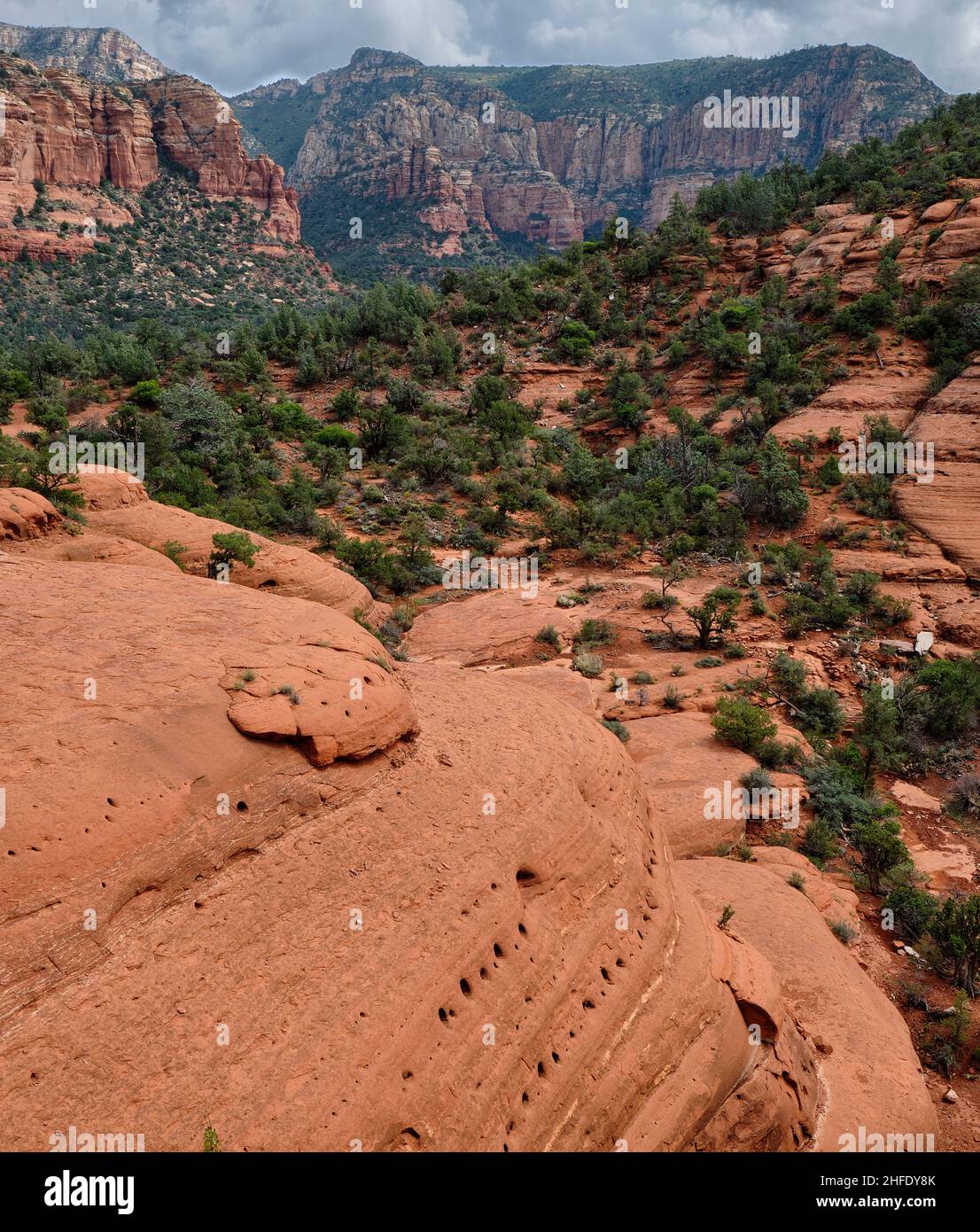 Lee Mountain, Sedona, Arizona, vue depuis Chicken point sur Broken Arrow Trail. Banque D'Images