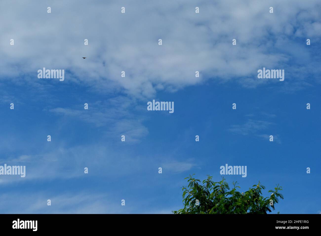 Ciel bleu avec nuages blancs.Arrière-plan. Banque D'Images