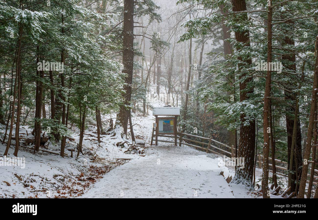 Sentier descendant vers Kaaterskill Falls, à travers une forêt brumeuse d'épinettes recouverte de neige fraîche. Kiosque avec informations de randonnée et balustrades le long du chemin. Banque D'Images