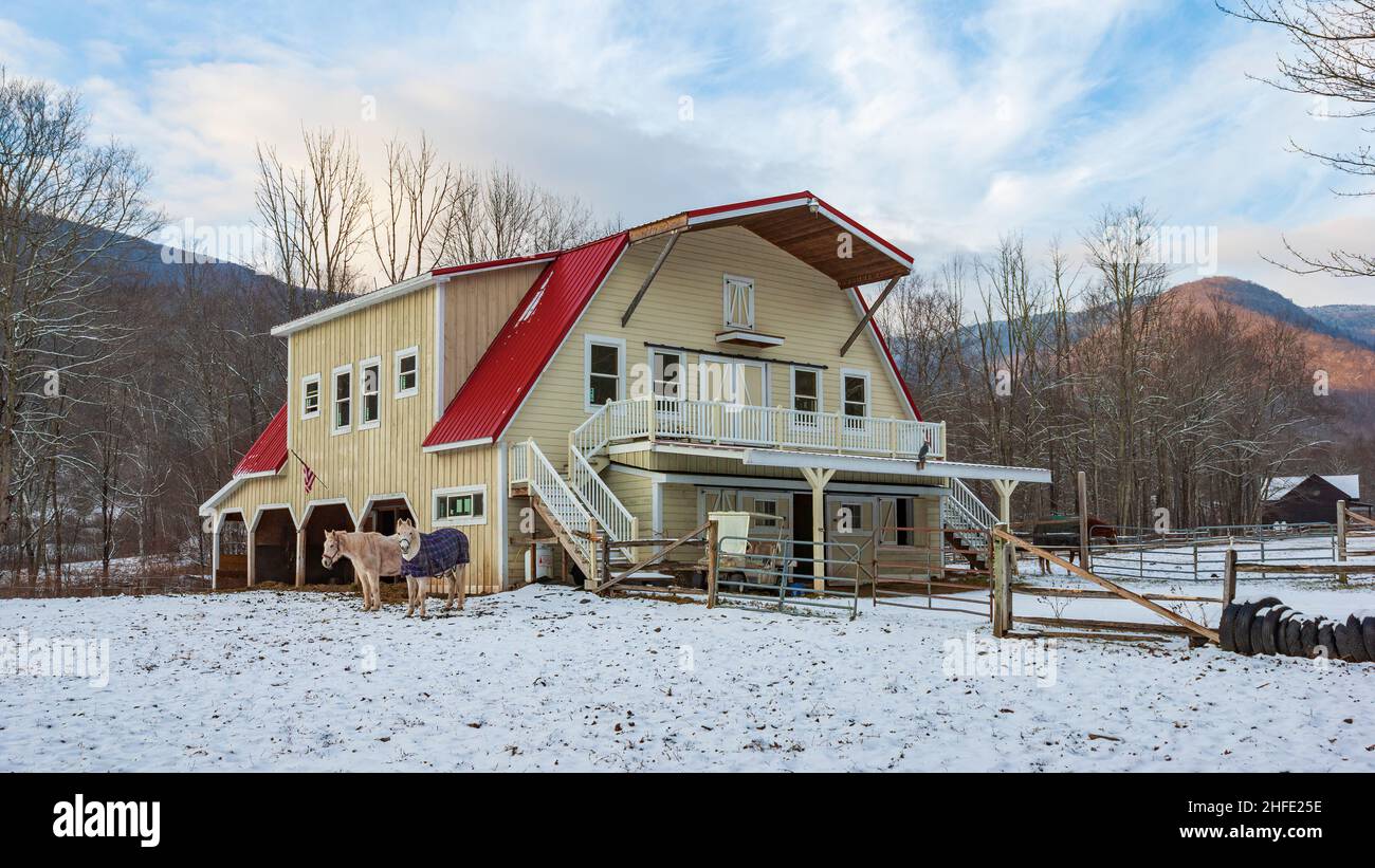 Chevaux debout près d'une écurie, dans un paysage hivernal. Homestead dans les montagnes Catskill. Lanesville, New York Banque D'Images