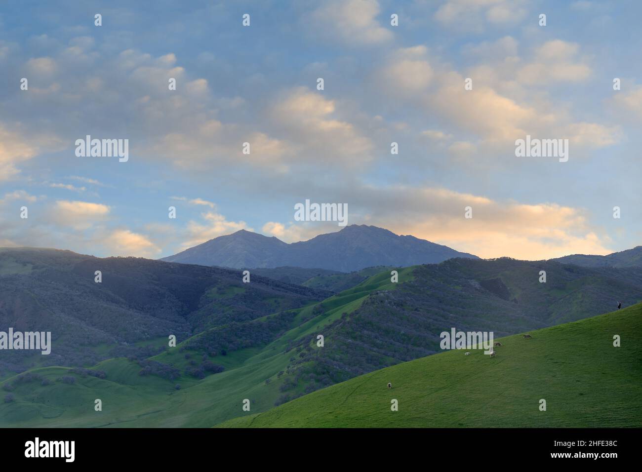 Coucher de soleil d'hiver sur le Mont Diablo via la réserve régionale de Round Valley, Contra Costa County, Californie, États-Unis. Banque D'Images