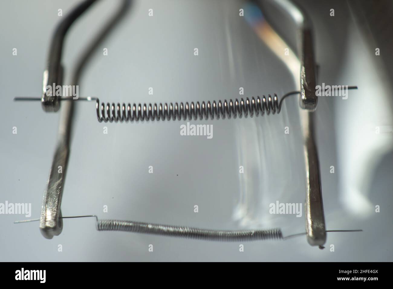 Macro-prise avec une lentille inversée utilisant la lumière naturelle sur fond blanc Banque D'Images