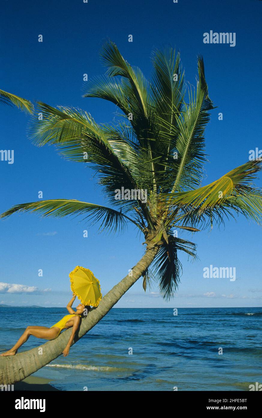 belle beauté de cheveux noirs couché sur le profil de palmier avec yrlllow parapluie bleu ciel eau de mer fond tropical porto rico Banque D'Images