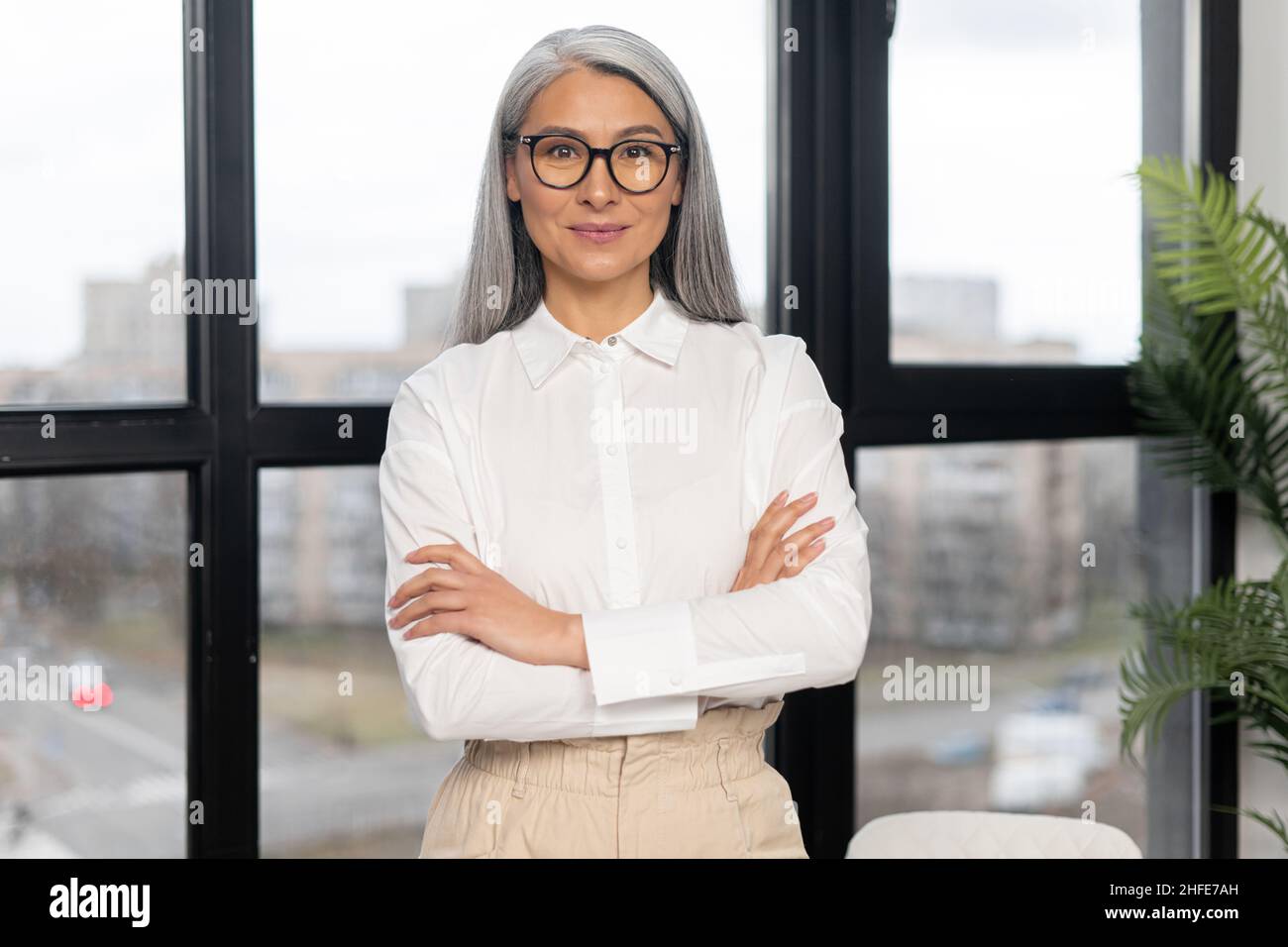 Femme d'affaires sénior sérieuse et stricte portant une chemise élégante et décontractée et des lunettes de vue stylées debout avec les bras croisés dans un espace de bureau moderne.Femme mûre, personne âgée, concept de chef déterminé Banque D'Images