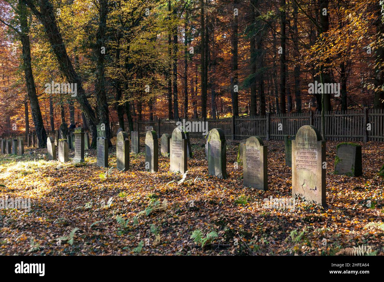 ancien cimetière juif dans la forêt de chênes Banque D'Images