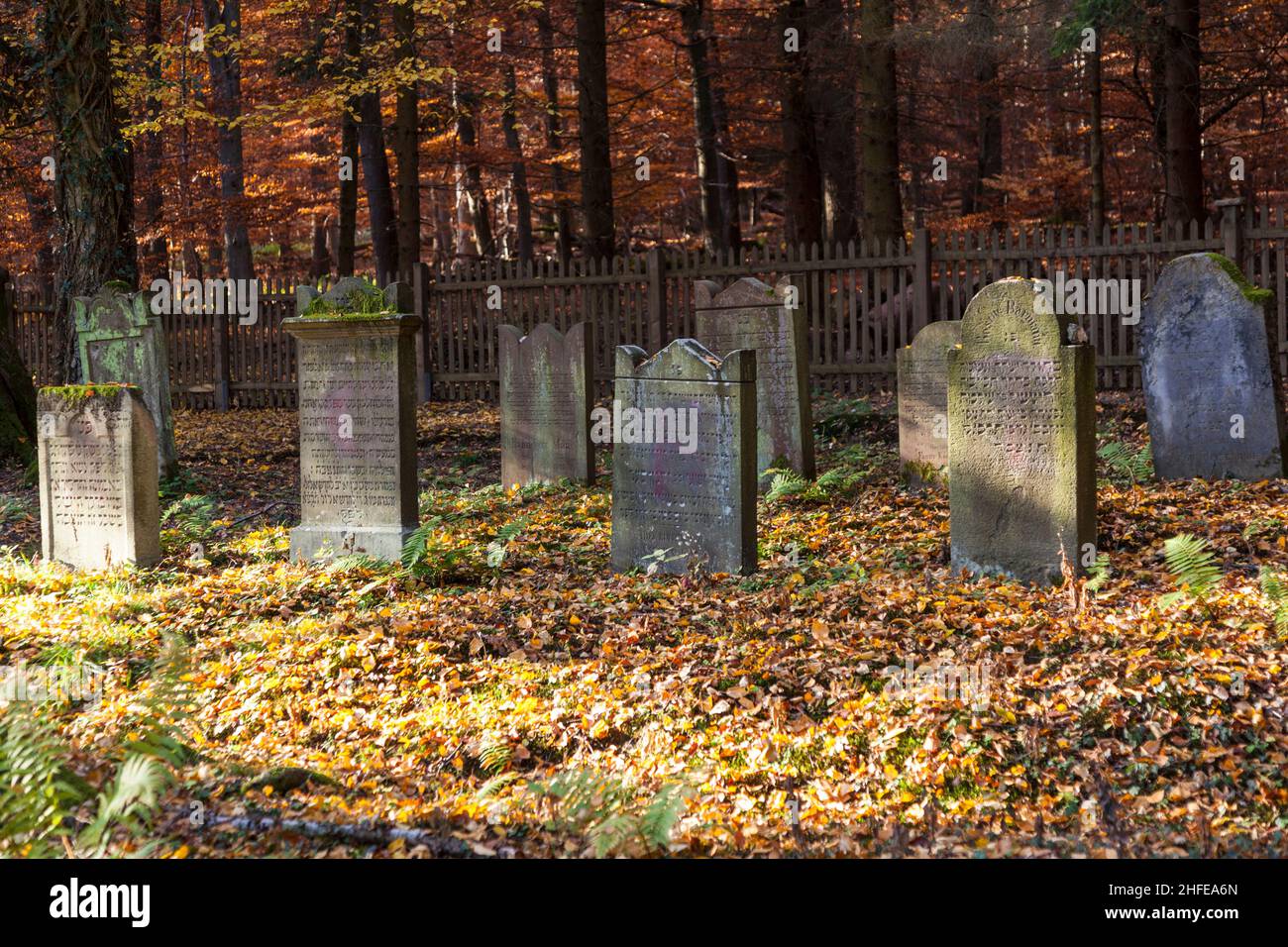 ancien cimetière juif dans la forêt de chênes Banque D'Images
