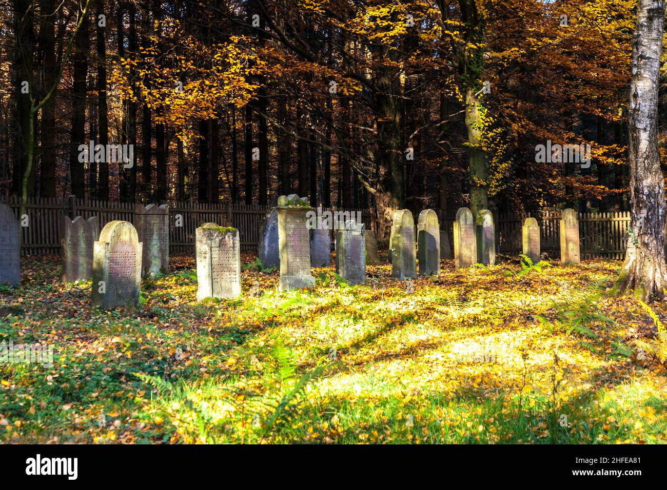 ancien cimetière juif dans la forêt de chênes Banque D'Images