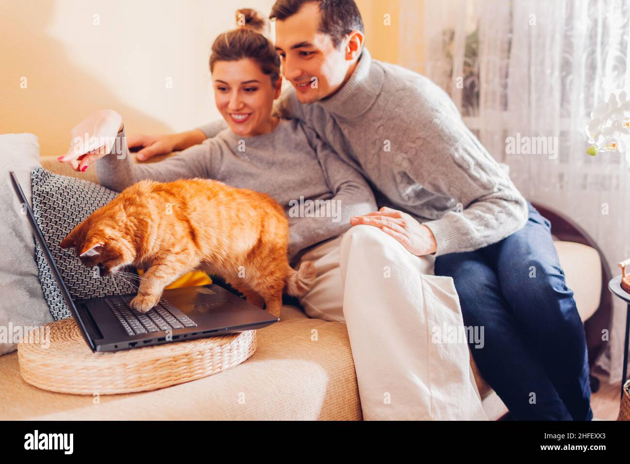 Couple de jeunes familles regardant la vidéo en ligne avec un chat utilisant un ordinateur portable à la maison.Ginger qui marche sur le clavier en regardant l'écran.Curieux animal intéressé par f Banque D'Images