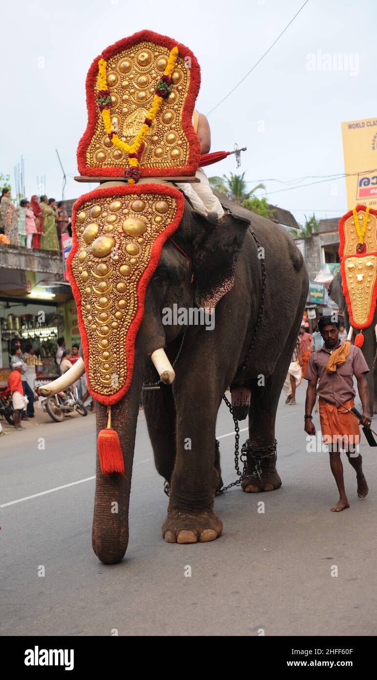Festival traditionnel des éléphants ( ULSAVAM ) au Kerala INDE Banque D'Images