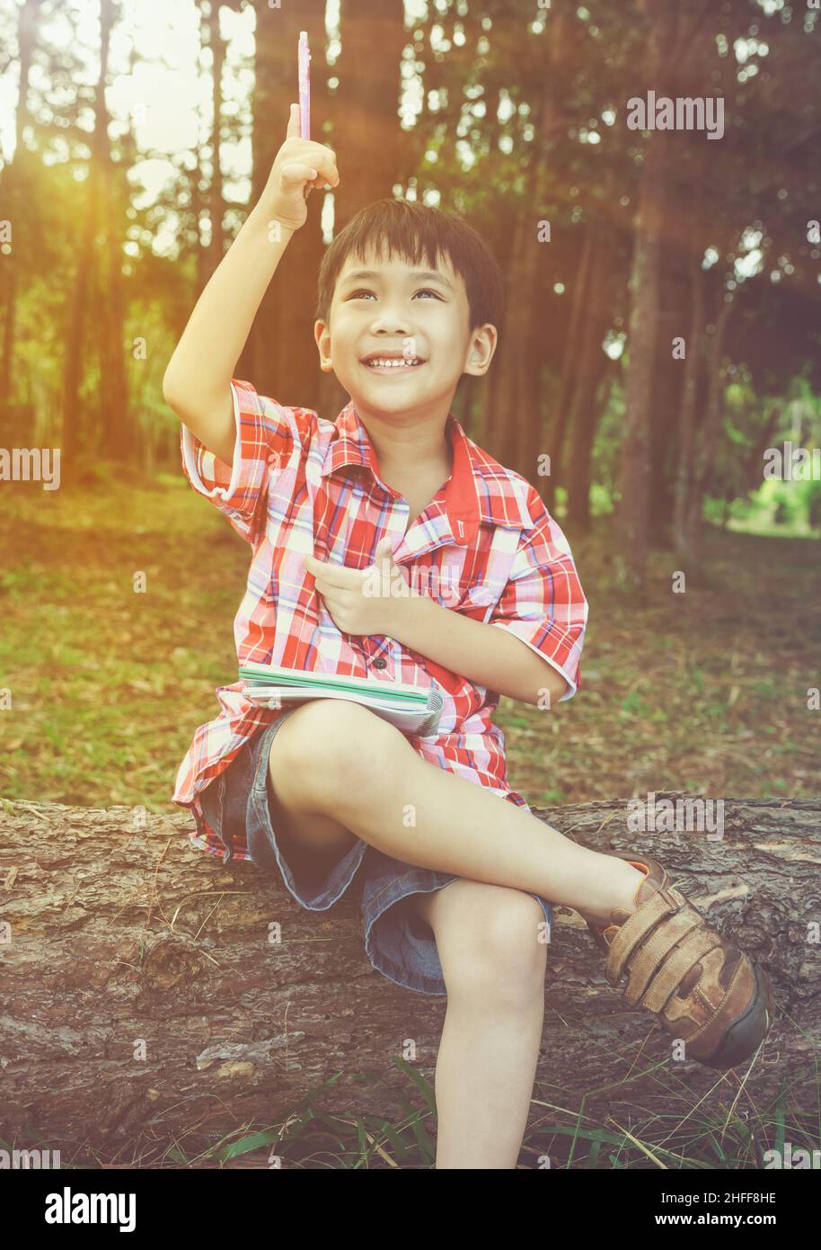 Un garçon asiatique heureux peut résoudre le problème au parc.À l'extérieur, en journée, en plein soleil.Concept de planification et d'éducation des enfants.Tonalité chaude et vin Banque D'Images