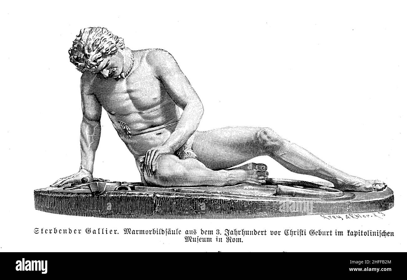 Mourant, Gaule, copie en marbre d'une bronze de 3D siècles de Colombie-Britannique représentant un Gaule blessé au regard féroce, un torse de cou celtique et une blessure à l'épée, musées du Vatican Banque D'Images