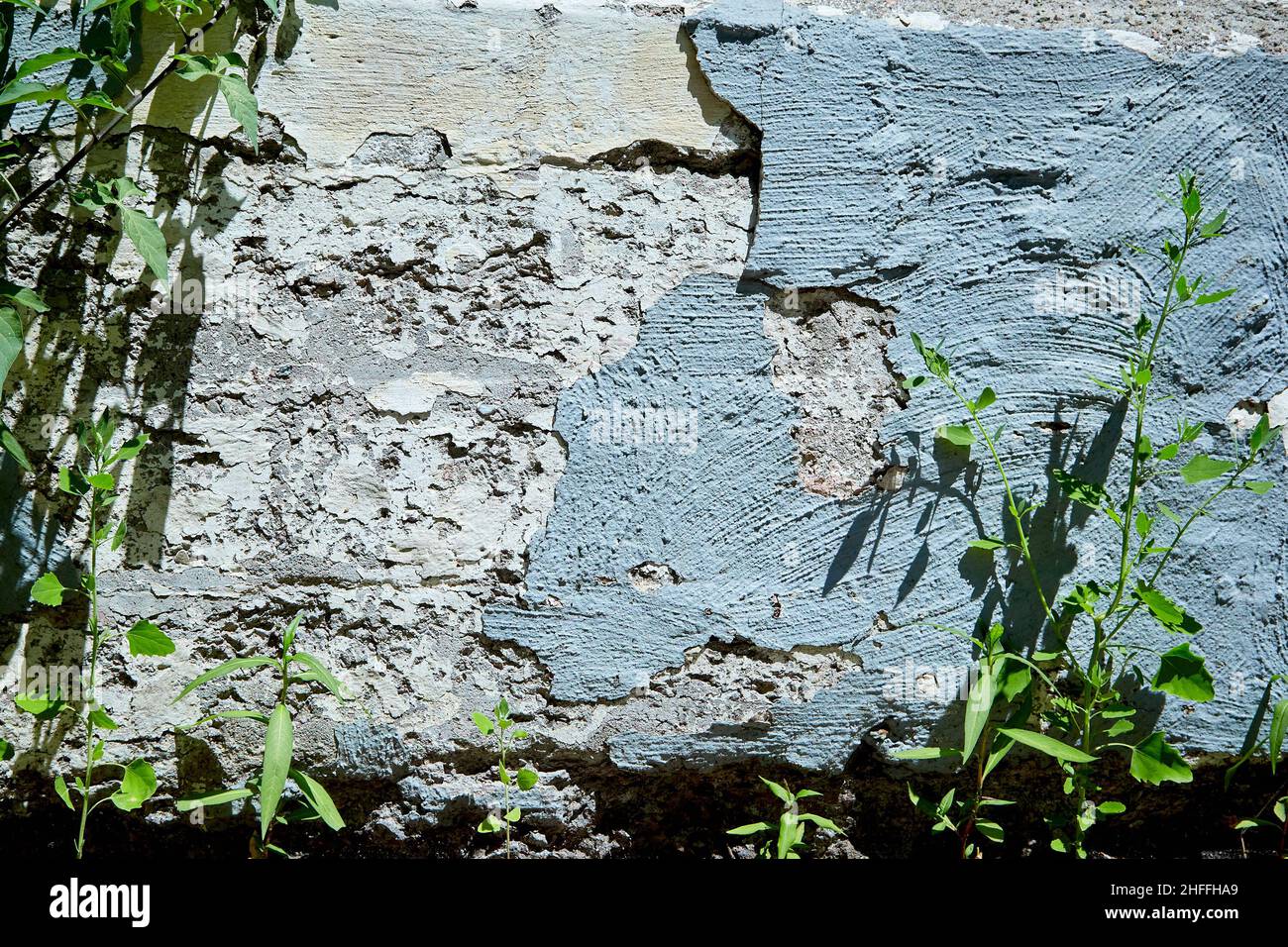 Ciment de mur fissuré avec des mauvaises herbes qui poussent par le dessous Banque D'Images