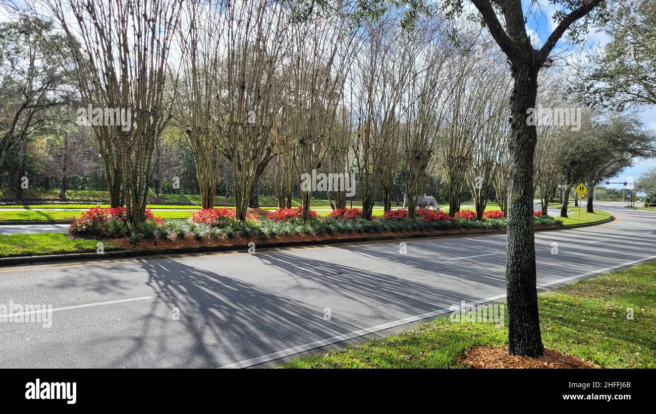Avalon Park Florida, avenue médiane avec fleurs et herbe.Photo Banque D'Images