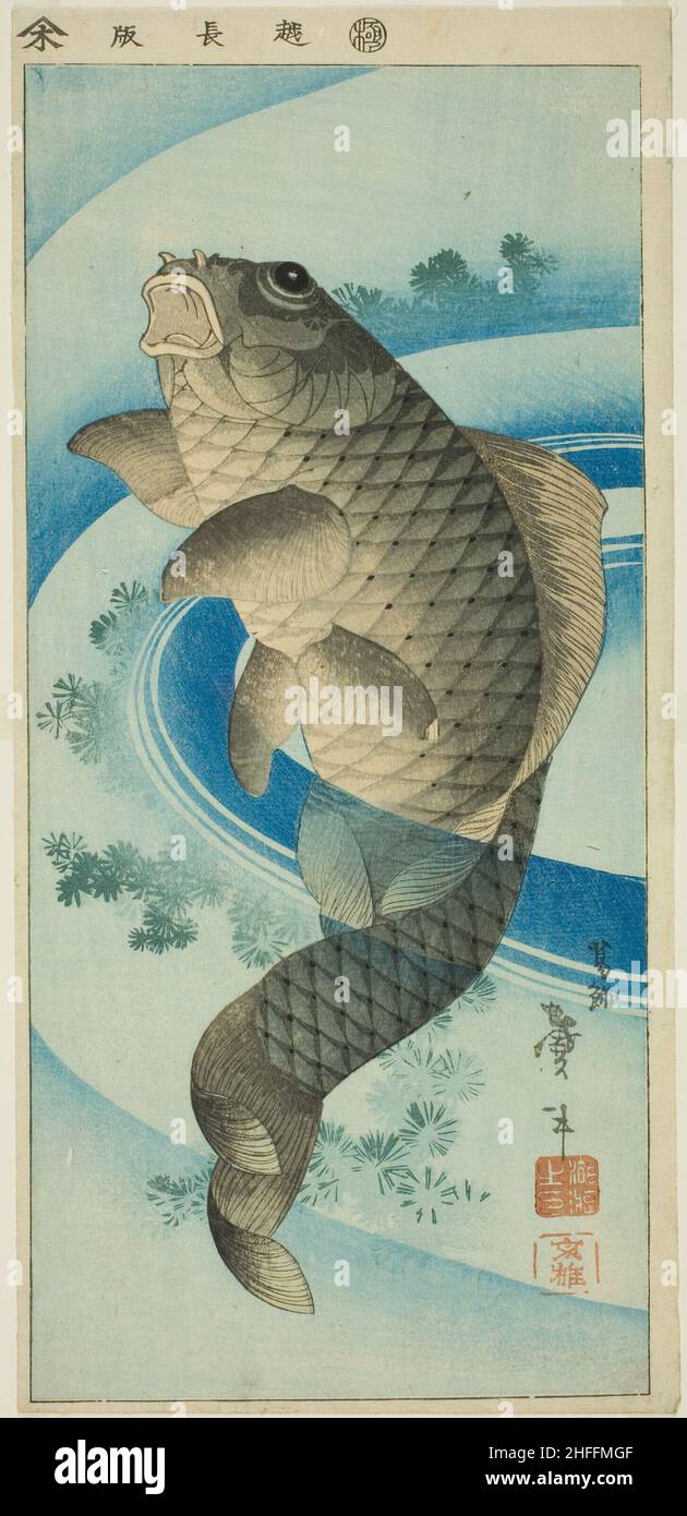 Carpe, Japon, ch.1830/44. Banque D'Images