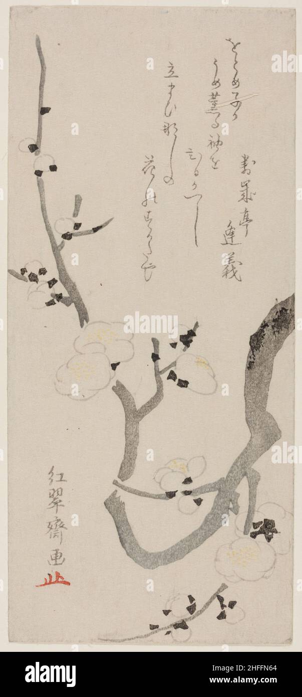 Branche de prune, Japon, fin du 18th siècle. Banque D'Images