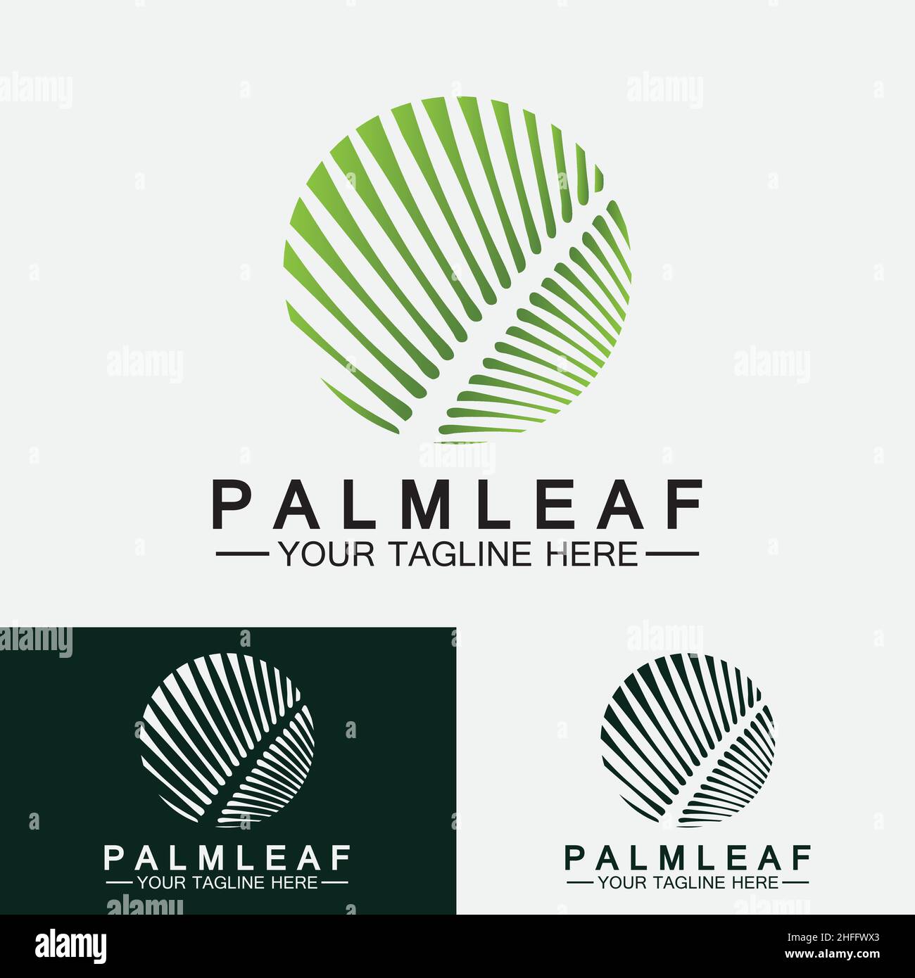 Modèle vectoriel avec logo tropical Palm Leaf Illustration de Vecteur