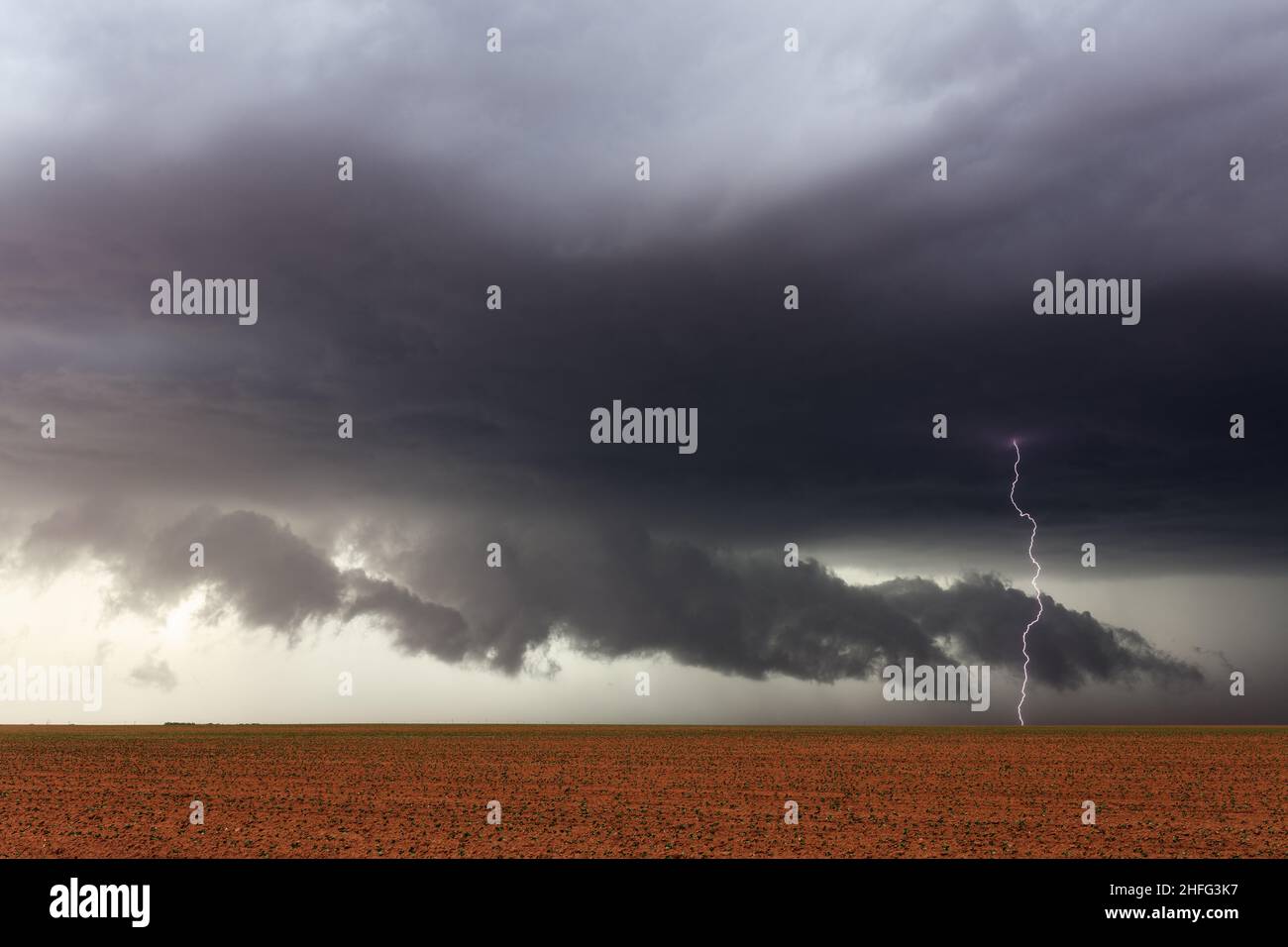 Des nuages inquiétants et des éclairs frappent sous un orage dramatique au-dessus d'un champ de ferme près de Lamesa, Texas Banque D'Images
