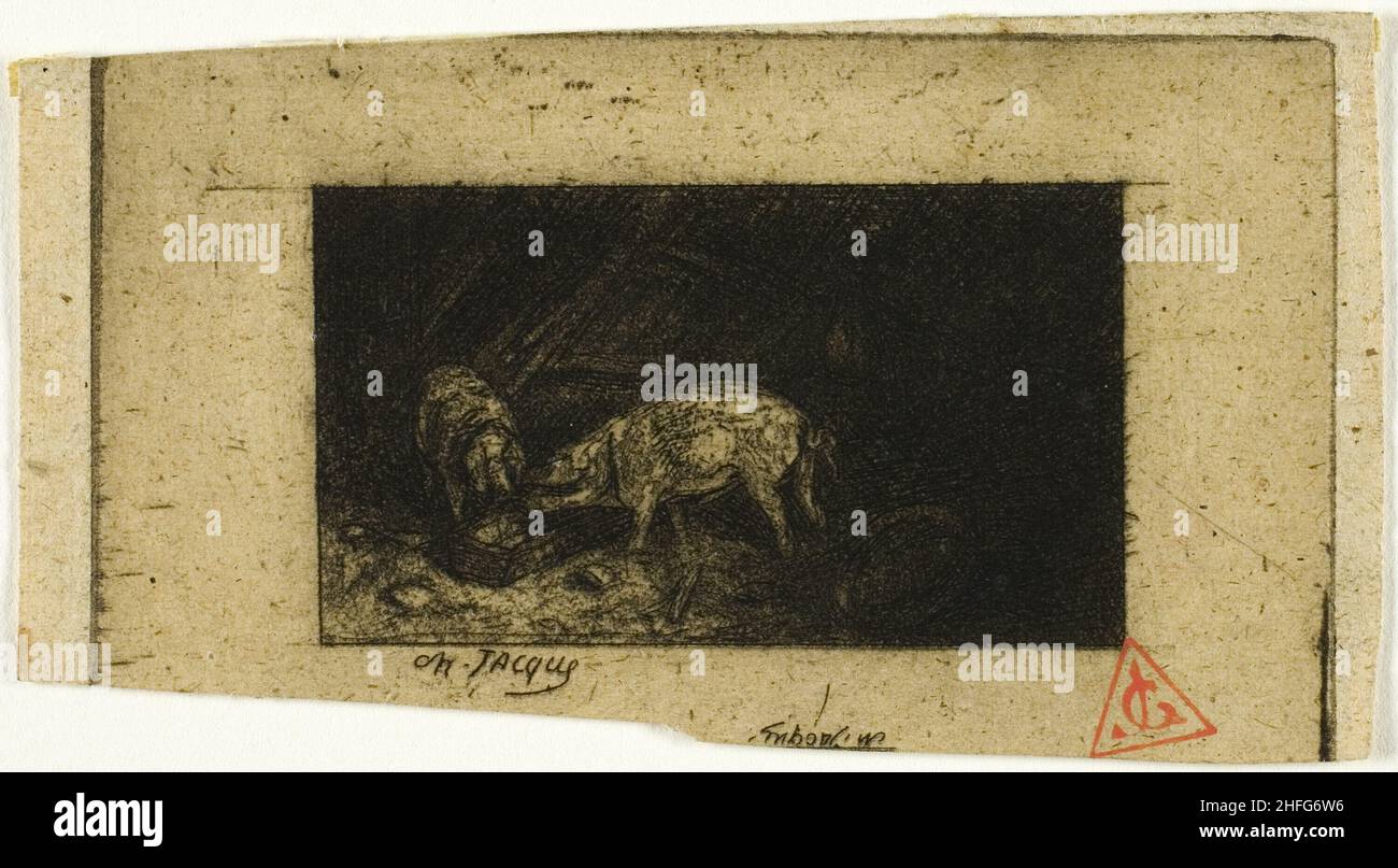 Deux cochons provenant d'une gouttière, 1844. Banque D'Images