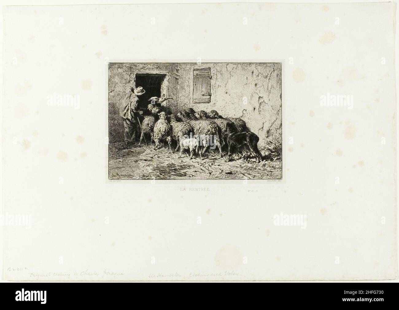 Le Sheep à la maison, c.1865. Banque D'Images