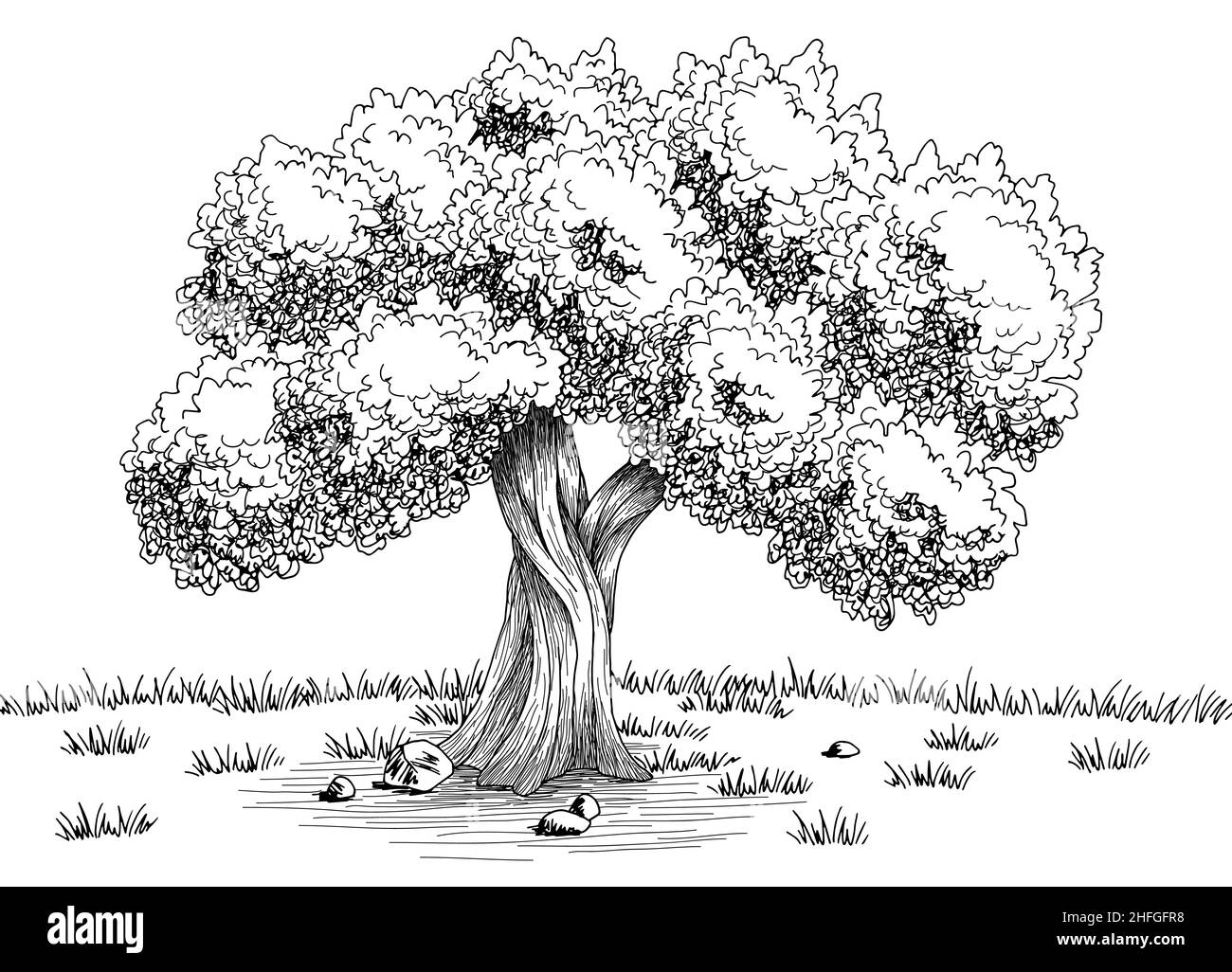 Olivier graphique noir blanc paysage dessin illustration vecteur Illustration de Vecteur