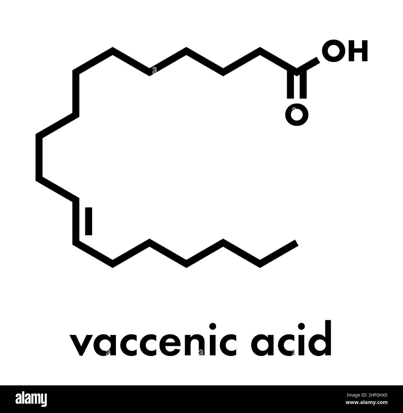 Molécule d'acide vaccénique. Acides gras trans, présents dans les graisses animales et le lait. Formule topologique. Illustration de Vecteur