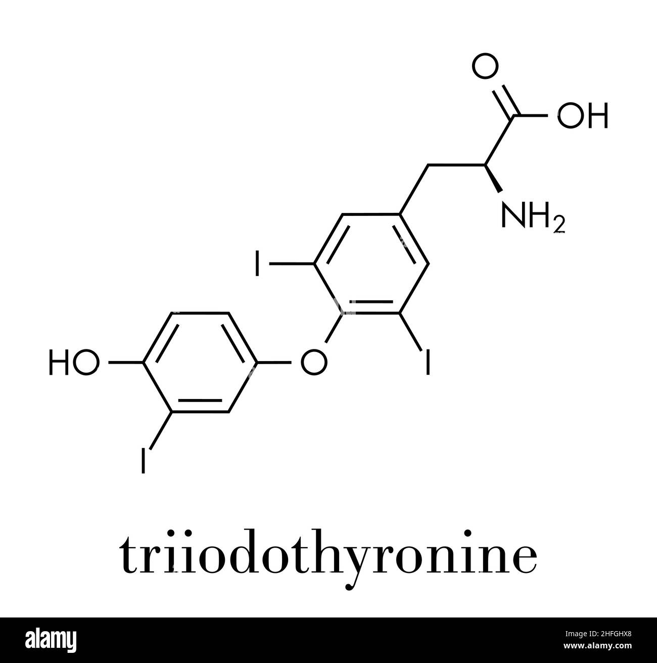 Molécule d'hormone thyroïdienne de la triiodothyronine (T3, liothyronine). Hormone hypophysaire. Également utilisé comme médicament pour traiter l'hypothyroïdie. Formule du squelette. Illustration de Vecteur