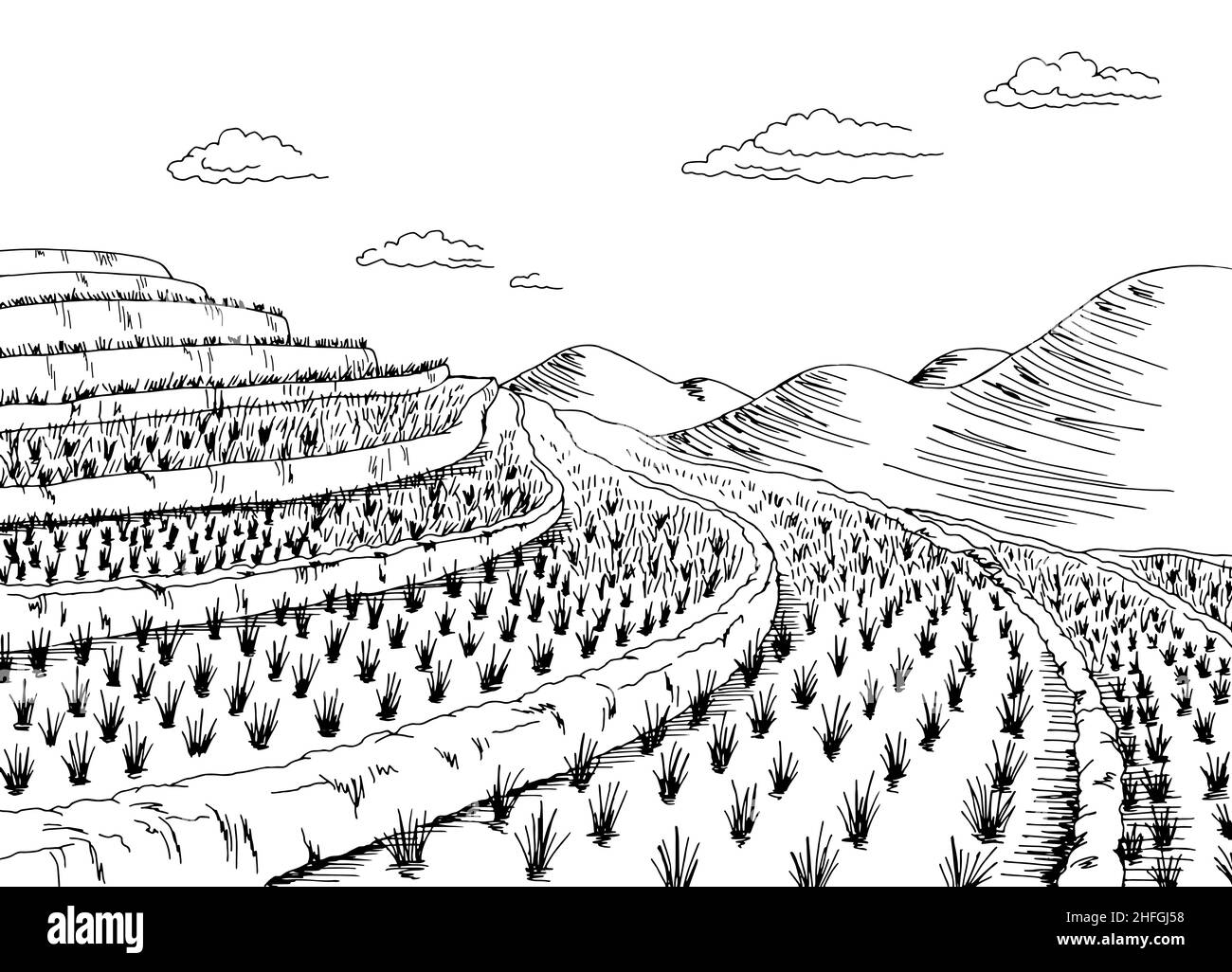 Motif champ de riz noir blanc paysage dessin illustration vecteur Illustration de Vecteur