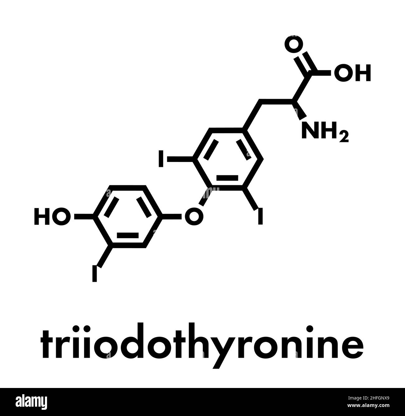 Molécule d'hormone thyroïdienne de la triiodothyronine (T3, liothyronine). Hormone hypophysaire. Également utilisé comme médicament pour traiter l'hypothyroïdie. Formule du squelette. Illustration de Vecteur