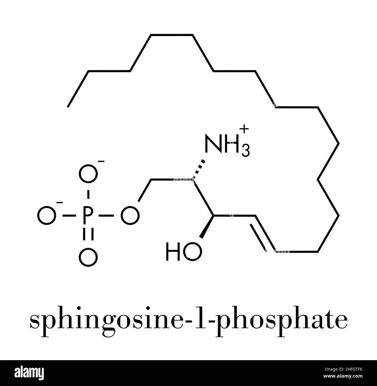 La Sphingosine-1-phosphate (S1P) molécule de signalisation. Formule topologique. Illustration de Vecteur
