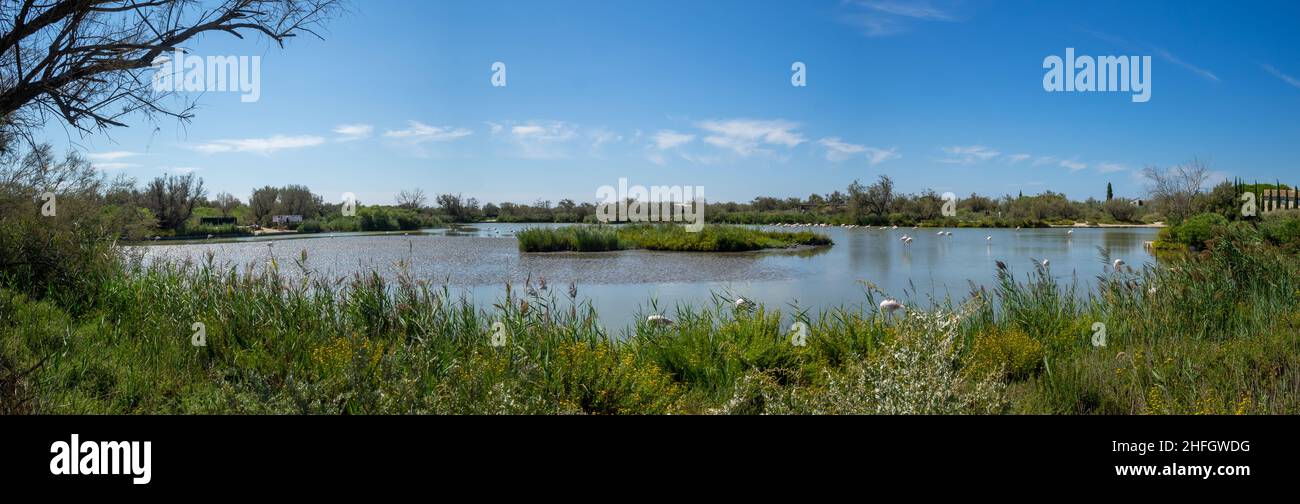 Panorama du Parc ornithologique de Pont de Gau Banque D'Images