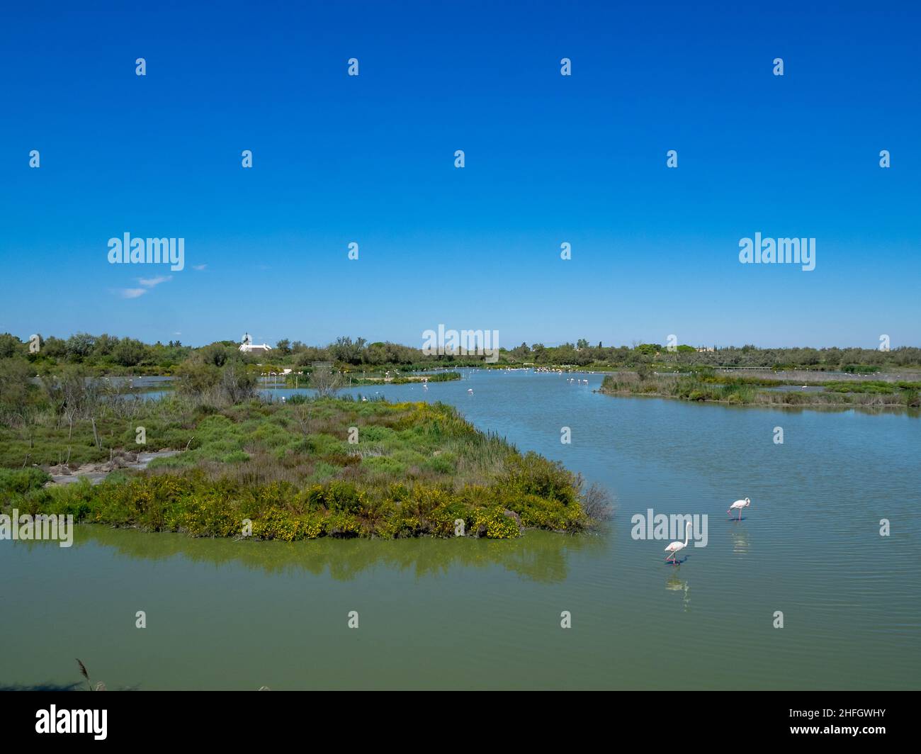 Paysage du Parc ornithologique de Pont de Gau Banque D'Images