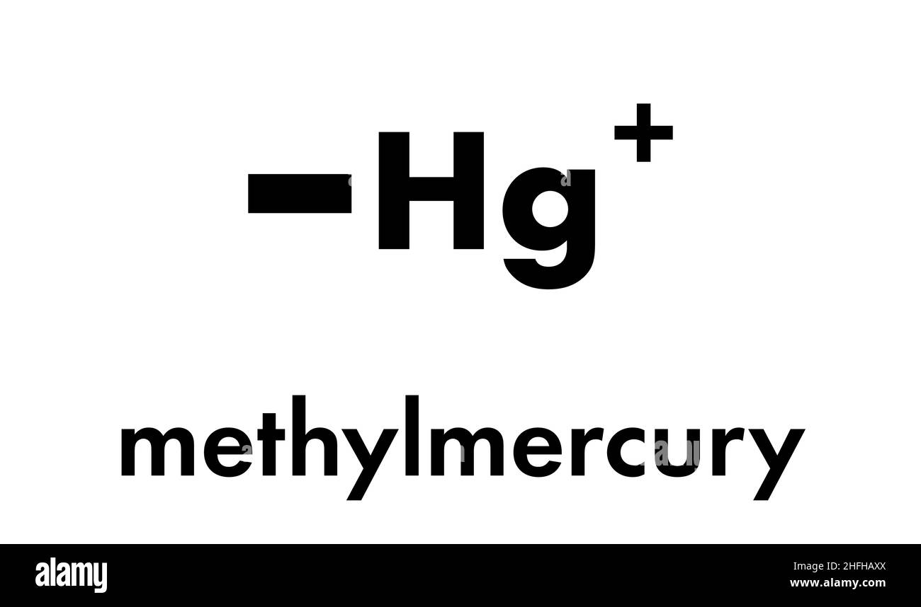 Cation méthylmercure polluant environnemental, structure chimique. Formule squelettique. Illustration de Vecteur