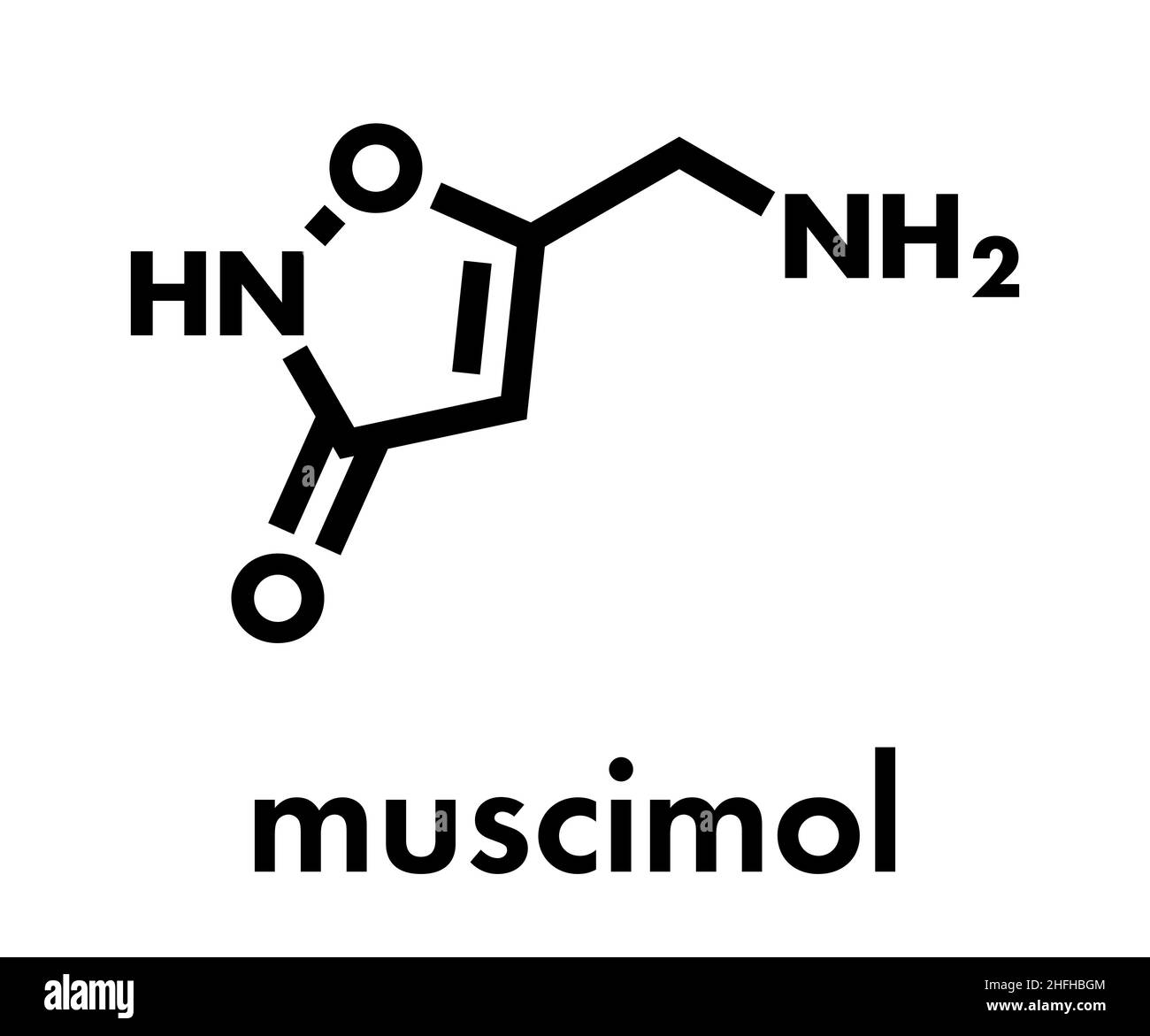 Muscimol (agarin, pantherine) molécule. Élément psychoactif principal fly agaric (Amanita muscaria). Formule topologique. Illustration de Vecteur