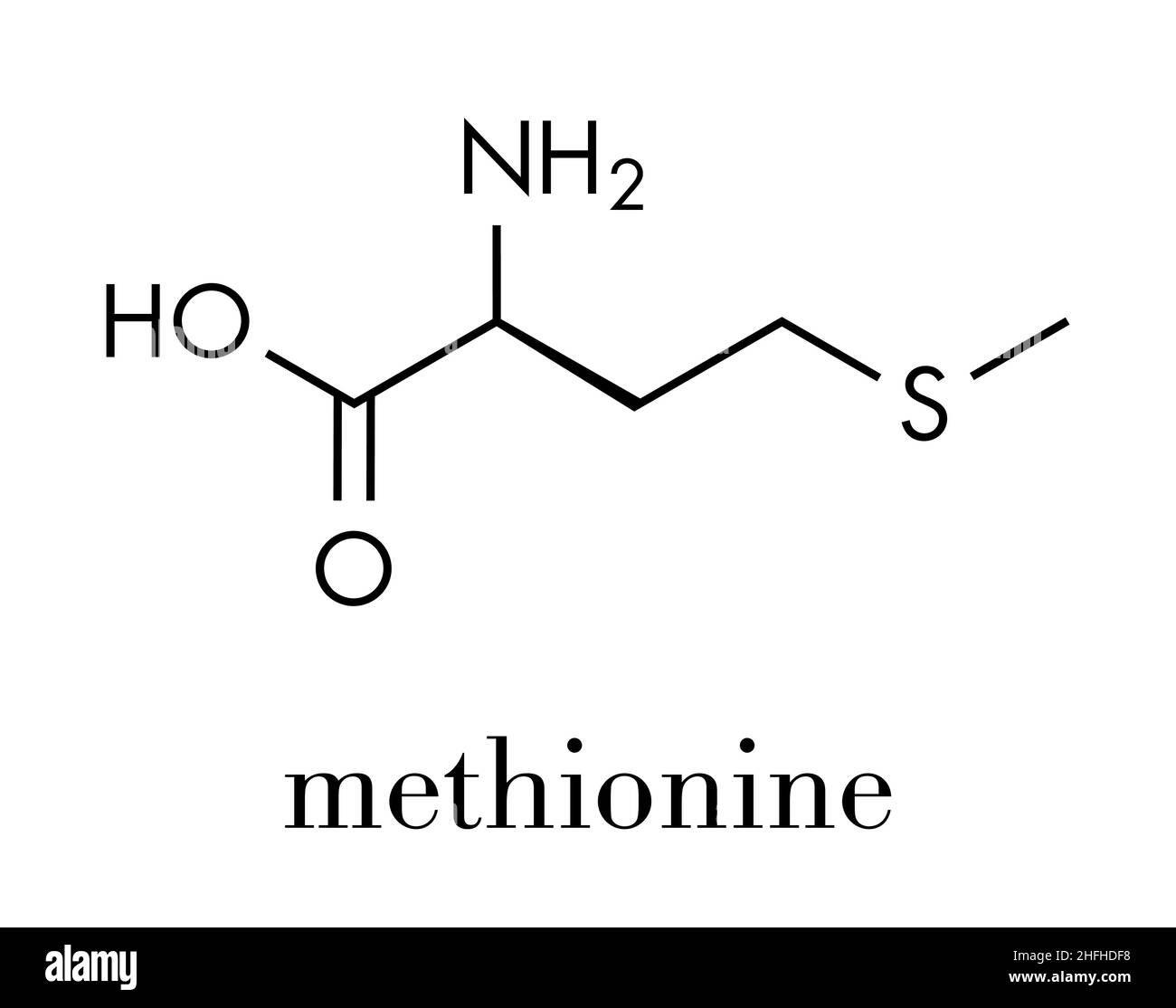 Molécule d'acide aminé méthionine (L-méthionine, met, M).Formule squelettique. Illustration de Vecteur