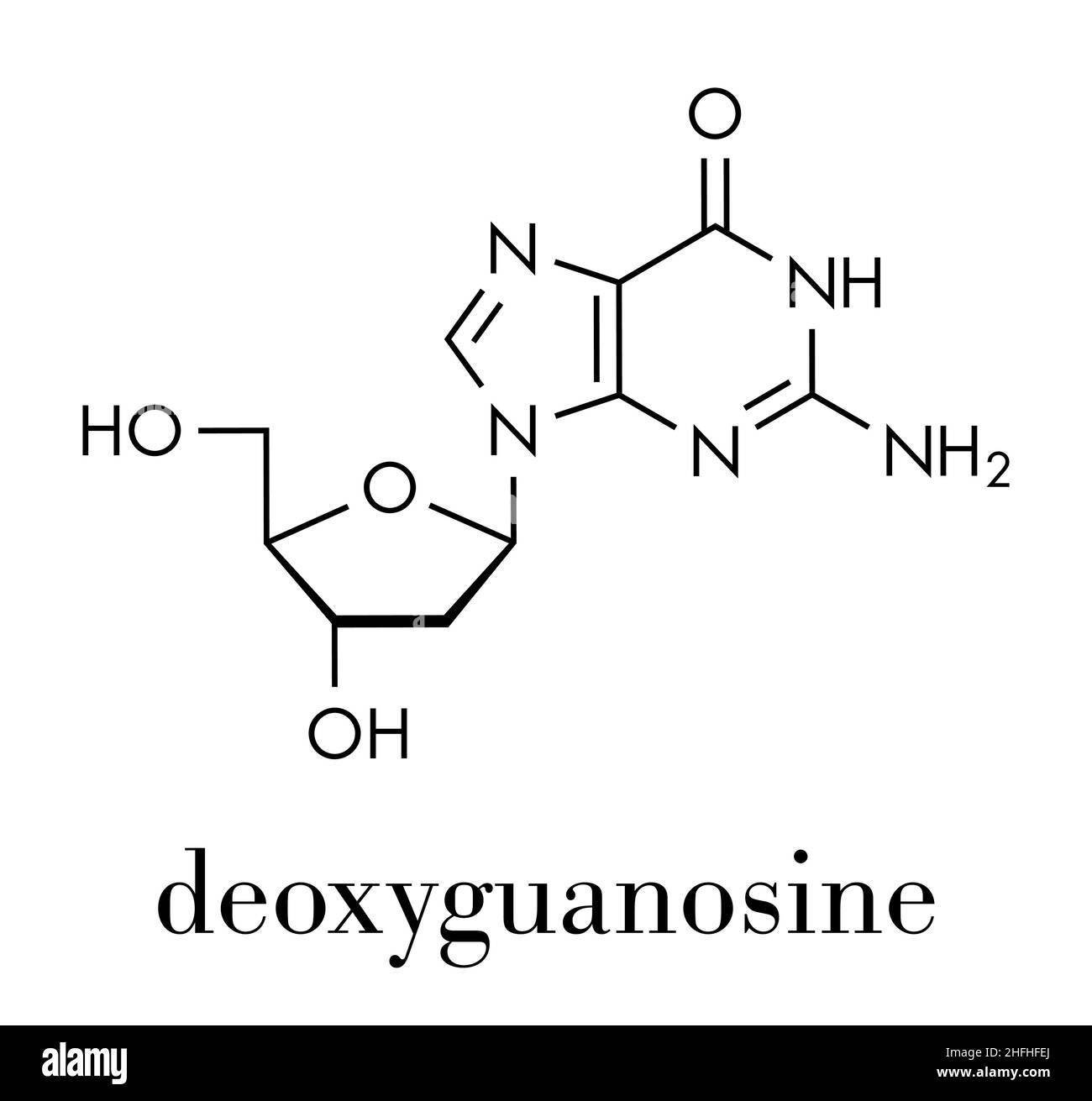 Molécule nucléoside de désoxyguanosine (DG). Bloc de construction de l'ADN. Formule du squelette. Illustration de Vecteur