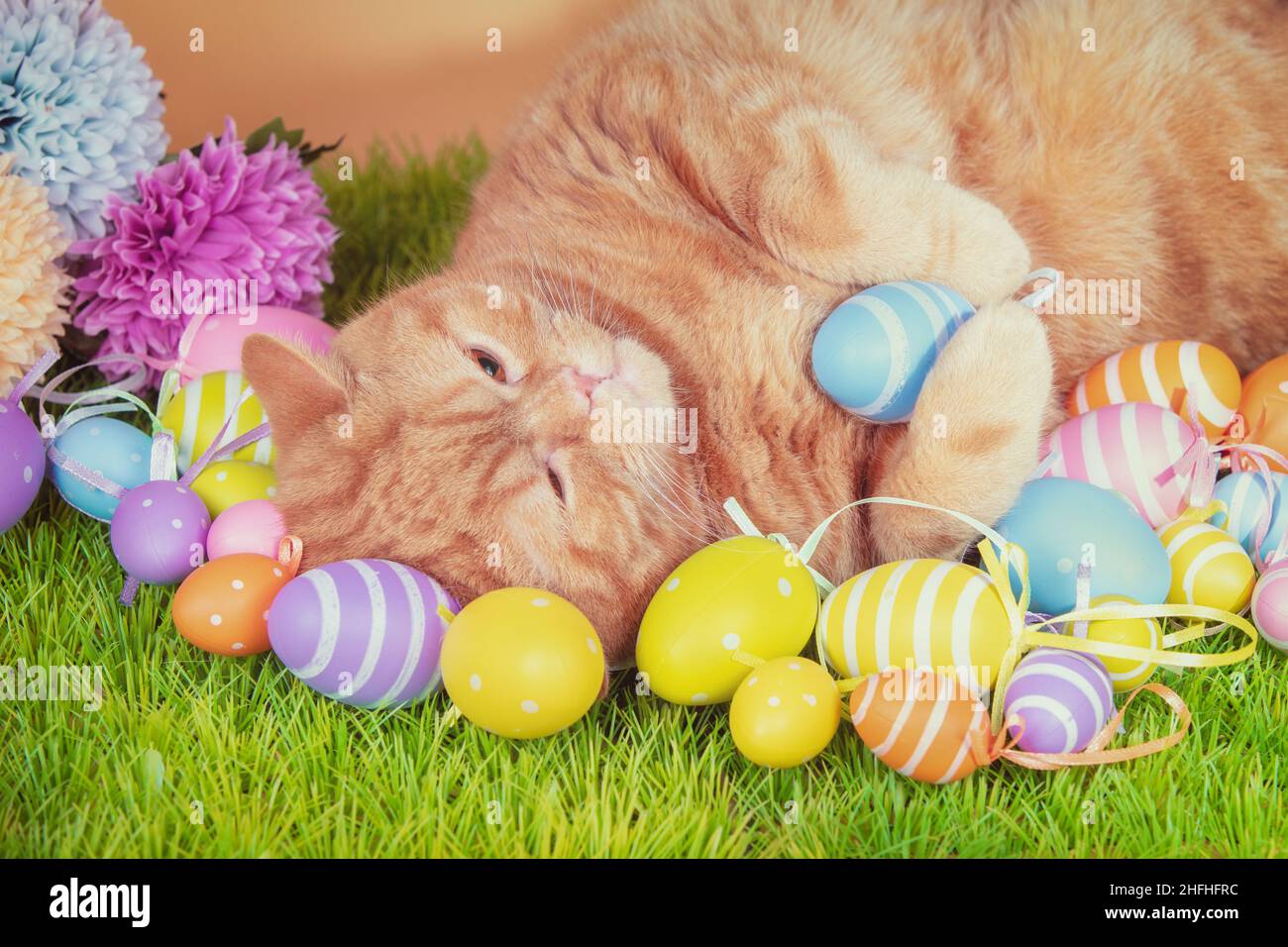 Un chat de gingembre drôle dormant sur le dos sur gazon artificiel avec des œufs de Pâques colorés Banque D'Images