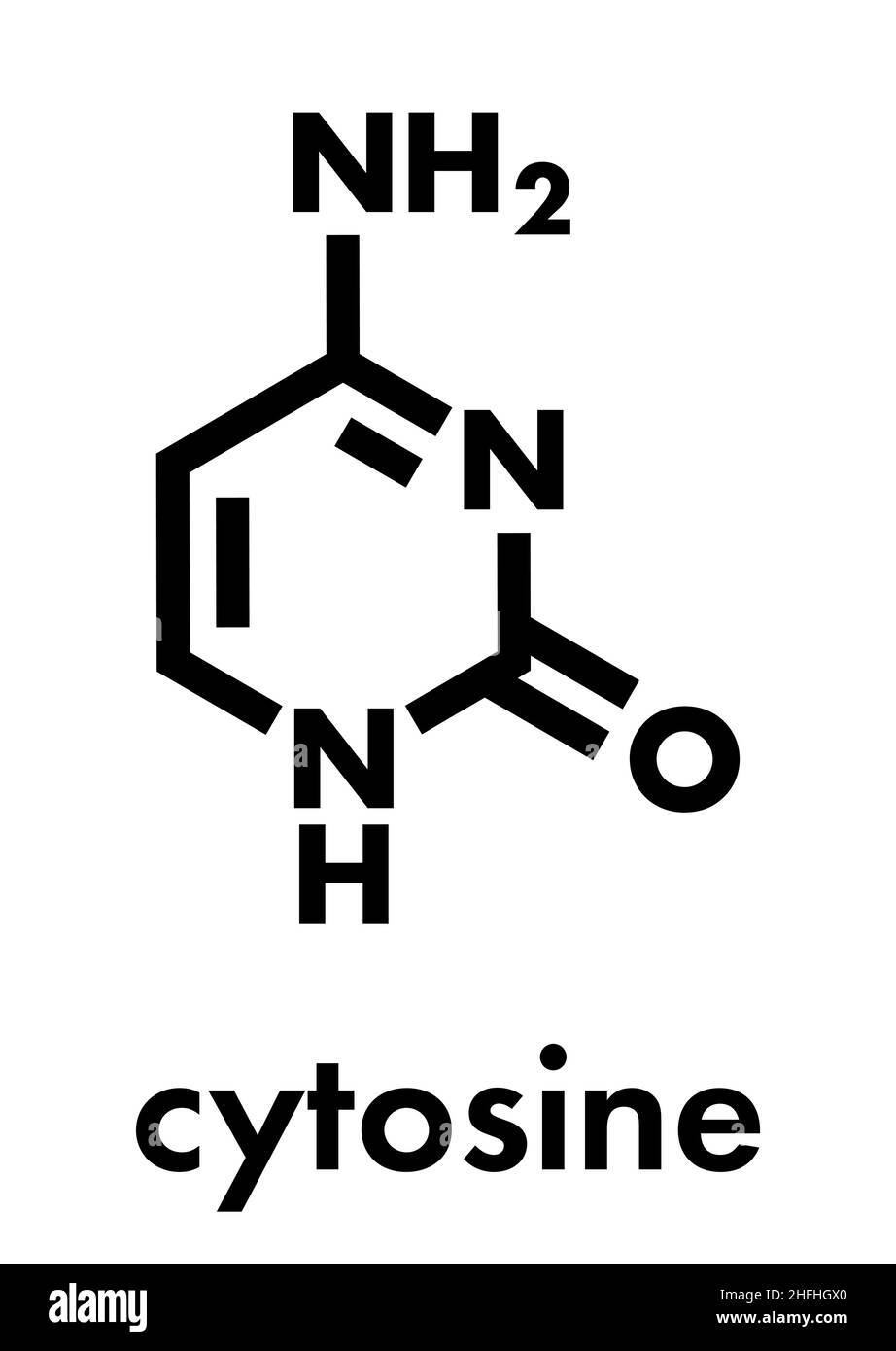 Composant de la nucléobase de la pyrimidine cytosine. Une des bases trouvées dans l'ADN et l'ARN. Formule du squelette. Illustration de Vecteur