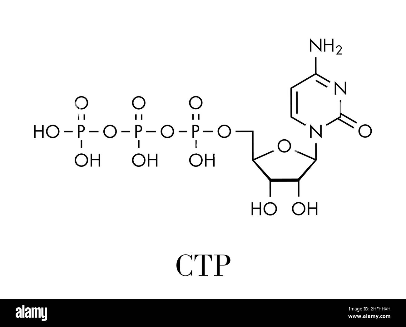 Molécule du bloc de construction de l'ARN du triphosphate de cytidine (CTP). Fonctionne également comme cofacteur pour certaines enzymes. Formule du squelette. Illustration de Vecteur