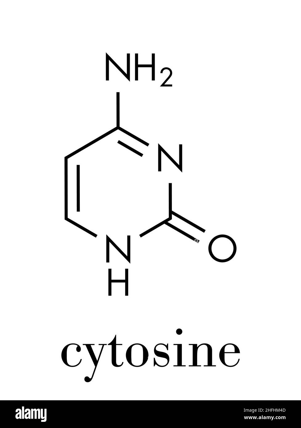 Composant de la nucléobase de la pyrimidine cytosine. Une des bases trouvées dans l'ADN et l'ARN. Formule du squelette. Illustration de Vecteur