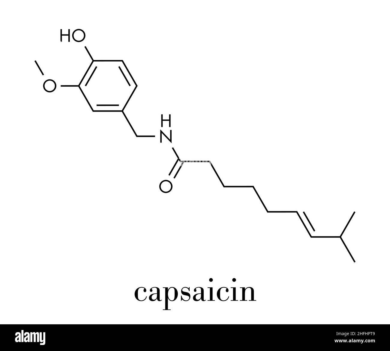 Molécule de piment de la capsaïcine.Utilisé dans les aliments, les médicaments, le poivre en spray, etc. Formule squelette. Illustration de Vecteur