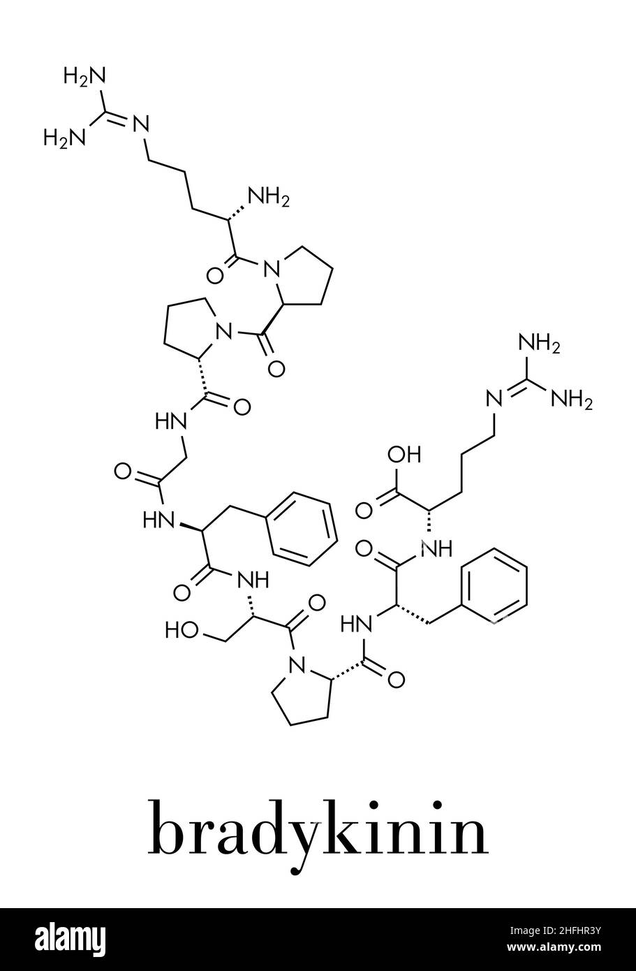 Molécule de peptide de bradykinine. Formule squelettique. Illustration de Vecteur